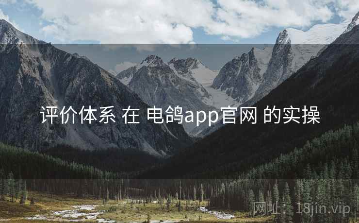评价体系 在 电鸽app官网 的实操 评价体系 在 电鸽app官网 的实操