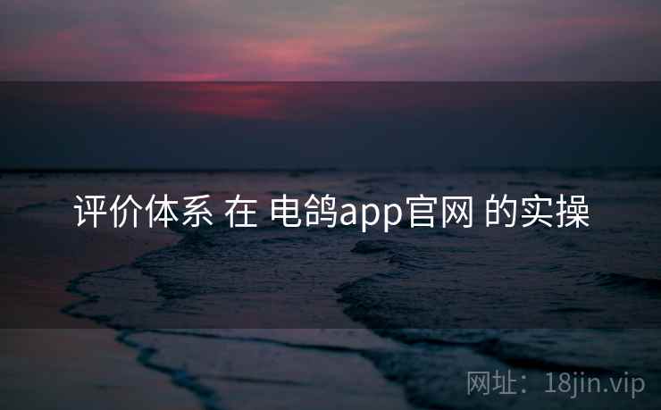 评价体系 在 电鸽app官网 的实操 评价体系 在 电鸽app官网 的实操